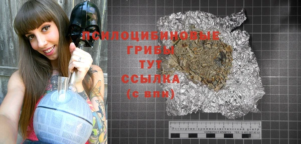 ПСИЛОЦИБИНОВЫЕ ГРИБЫ Абдулино