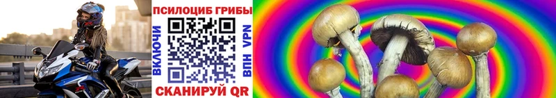 Галлюциногенные грибы Psilocybine cubensis  Тюкалинск 